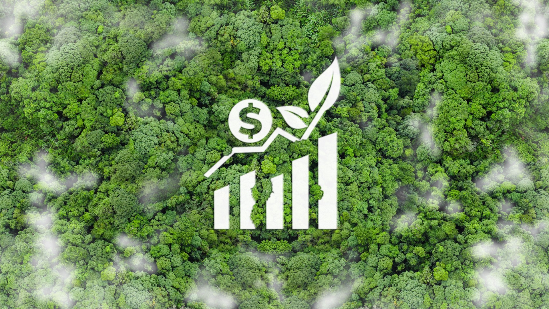 Green business concept. Green finance and investment for sustainability. An aerial view of green forest with a white icon of a rising bar graph and a dollar sign. ESG, co2, Green tax. Carbon credit.